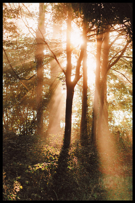 Интерьерная картина в технике цифровой печати. АРТ 060 Природа