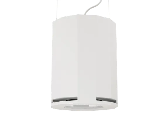 CVGAUDIO SUBone model DH-8W/CR подвесной сабвуфер, мощность 150W/300W