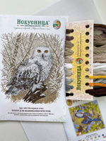 Набор для вышивания крестом Искусница "Полярная сова"