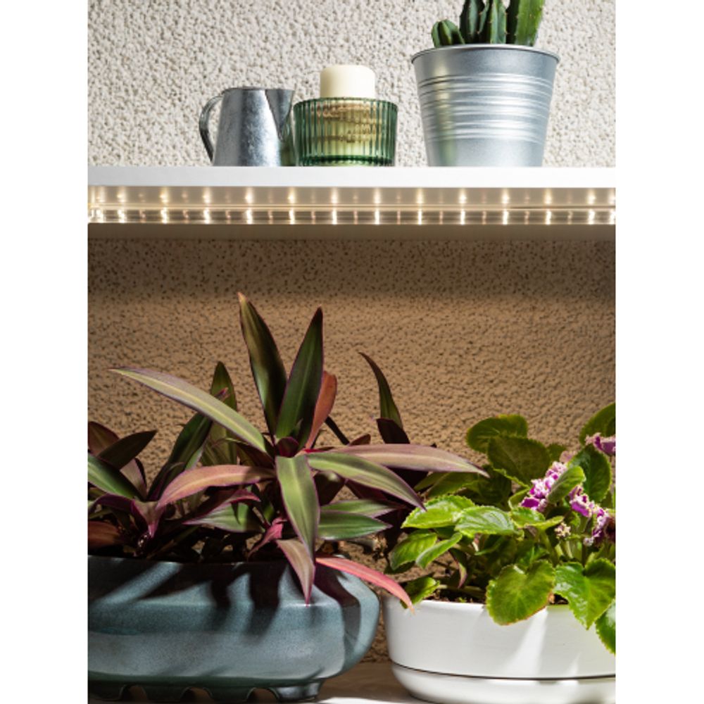 Комплект из 4-х линейных фитоламп ЭРА GREEN LINE FITO-4х10W-LINE-Rb+timer 9/12/15 H 2-pin красно-синий спектр 40 Вт