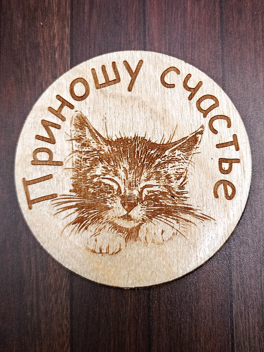 Магнит Котик