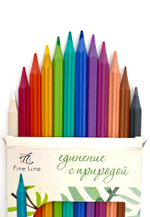 Карандаши цветные с ароматом розы Fine Line Special 12 цветов