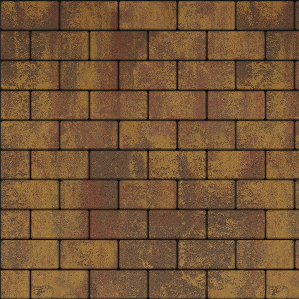 Тротуарная плитка ПРЯМОУГОЛЬНИК 200x100 мм - Листопад гладкий Осень