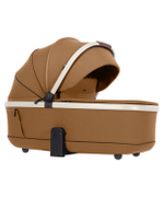 Коляска 2 в 1 Carrello Vector CRL-6550