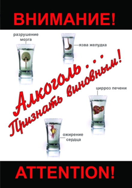 Алкоголь. Признать виновным