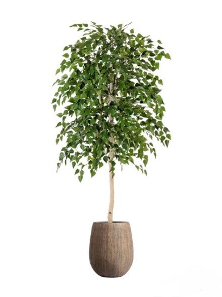 Комплект - Берёза натуральная 140 см в кашпо TREEZ Effectory - серия Wood