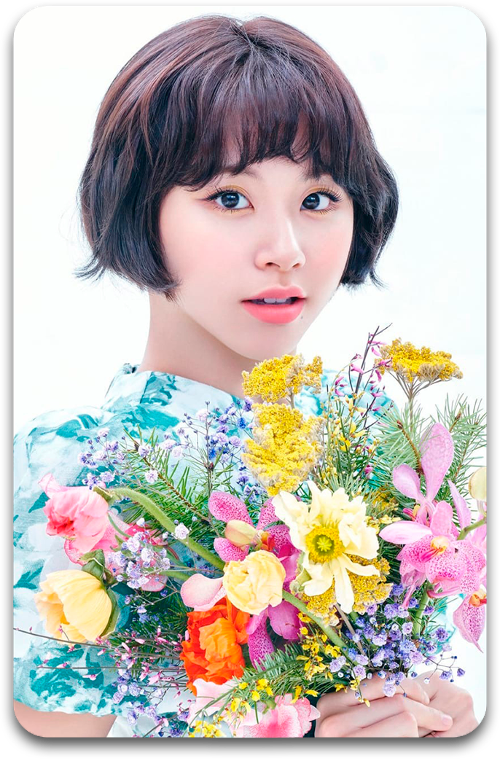 Карта #4105 / Chaeyoung (TWICE)