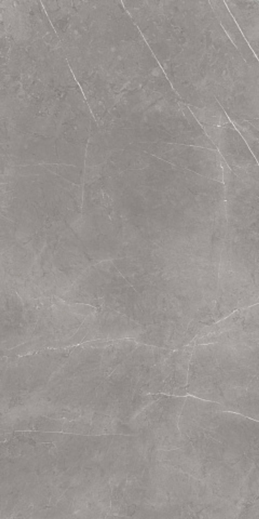 Керамогранит / 60х120 см ATLAS CONCORDE RUSSIA FORTE DEI MARMI / ФОРТЕ ДЕЙ МАРМИ Elegant Grey Полумат. 610015000657