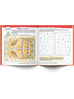 Тренируй свой мозг. Тренажер для развития способностей 3-10 лет. Курпатов А.В.