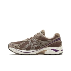 Кроссовки ASICS GT-2160 'Dark Taupe Purple' 1203A320-251