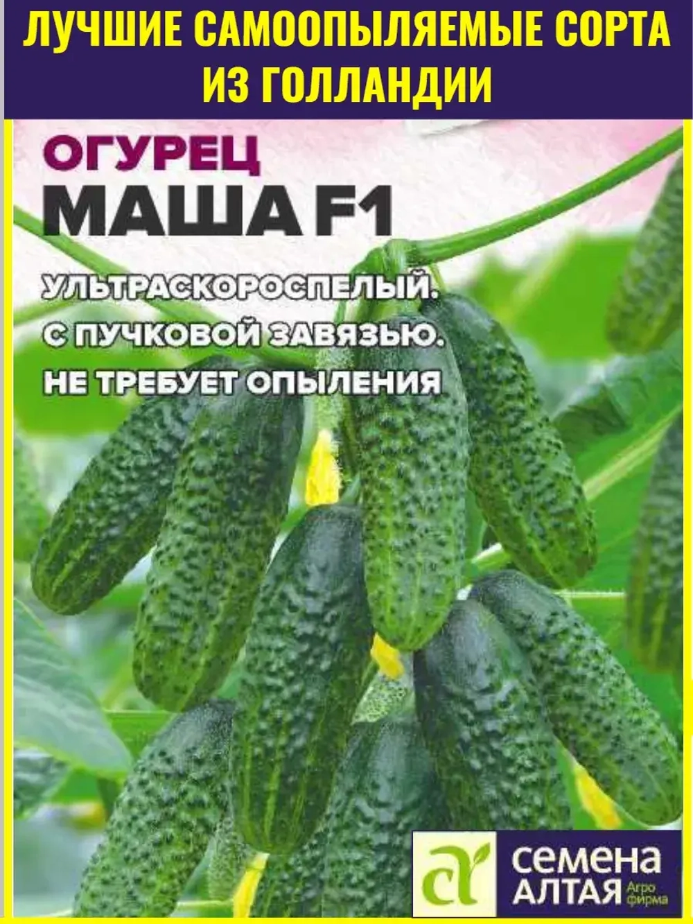 Семена огурцов Маша F1