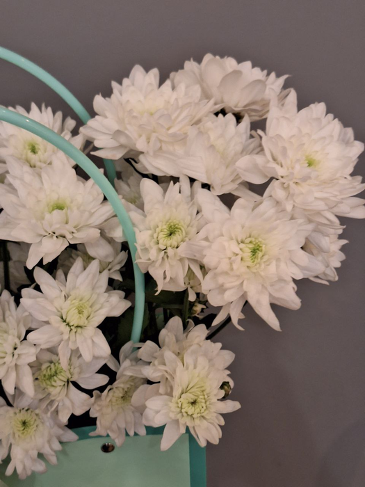 Композиция "Стиль и изящество"