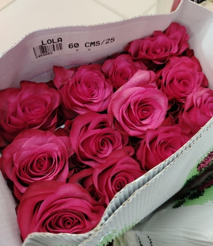 9 роз Лола