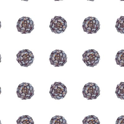 Акварельные шишки