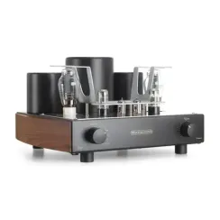 Mastersound Compact 300B Black Wood