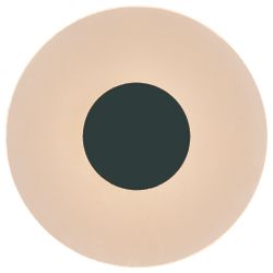 8013 Настенный светильник VENUS