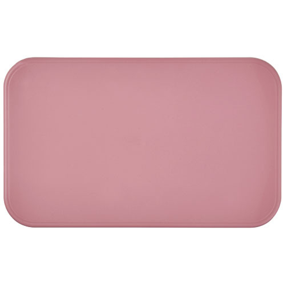 Двухслойный пищевой контейнер MIYO Renew