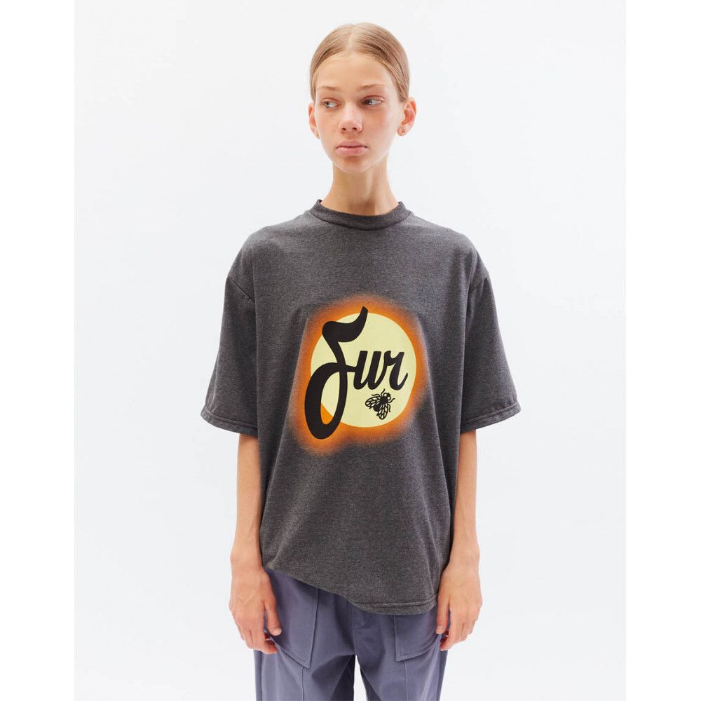 Купить Футболка БИЧ Муха темно-серый меланж Футболка БИЧ Муха темно-серый меланж