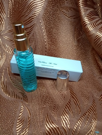 Парфюмерная вода унисекс СвеТLана Mr. Newl C&M006-03 15 мл