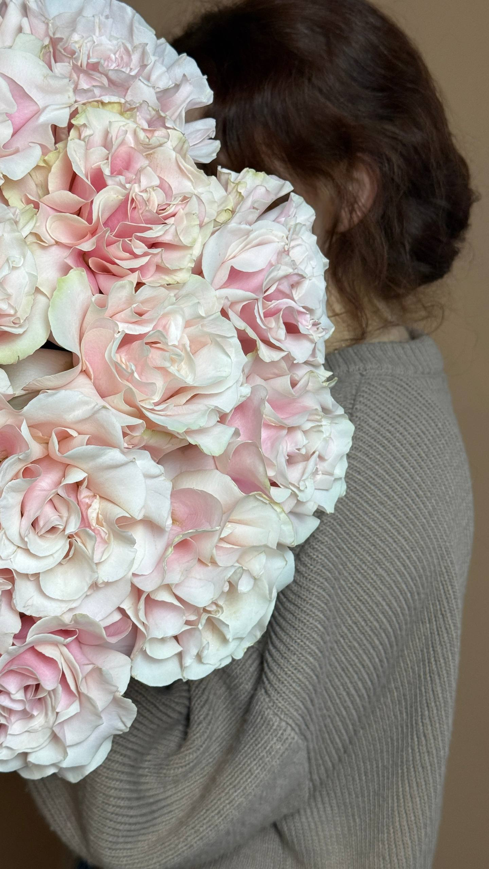 Охрана французских роз сорта pink mondial 15 шт