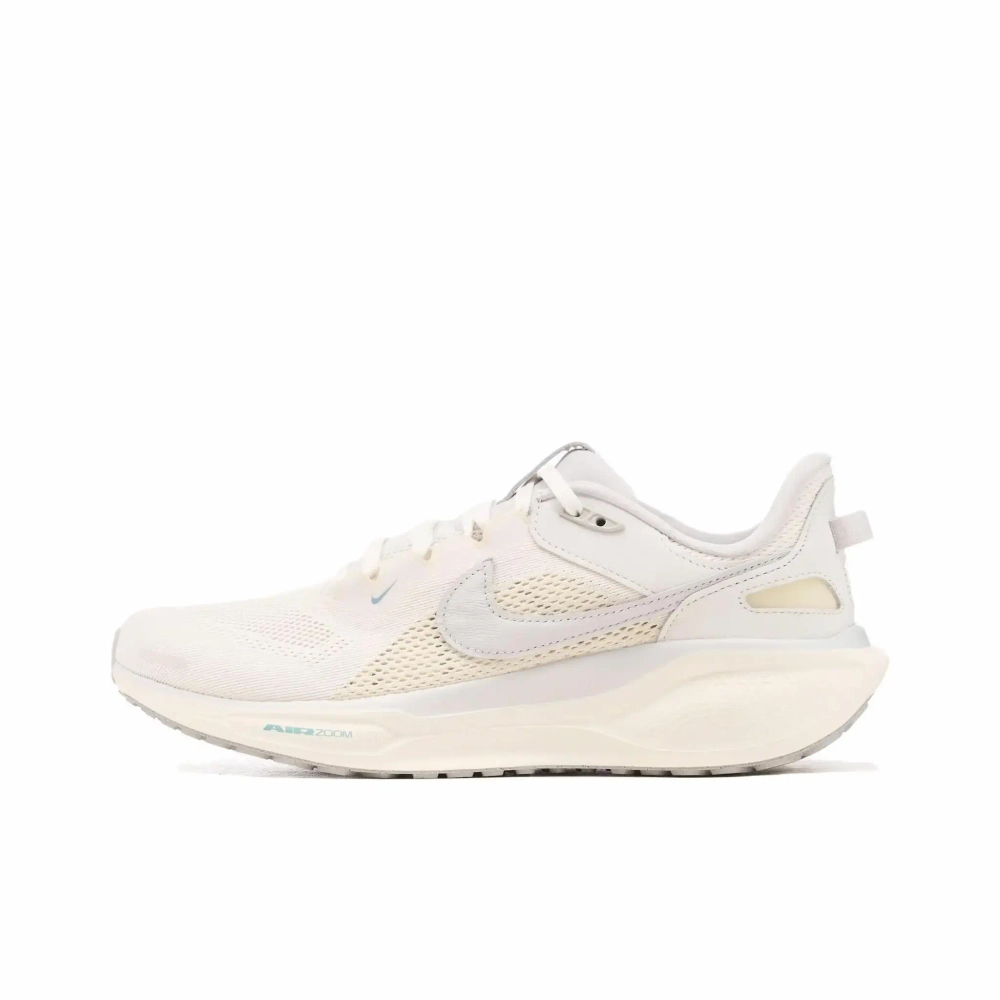 Мужские кроссовки Nike Air Zoom Pegasus 41 SP 'Ivory Coconut Milk' HQ6025-100