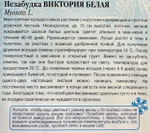 Незабудка Виктория Белая 0,03 г СМЦ-962