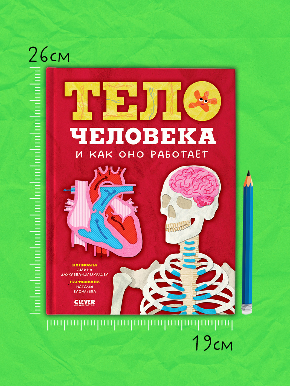 Любимая детская энциклопедия. Тело человека и как оно работает