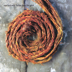 Nine Inch Nails / Further Down The Spiral (CD)