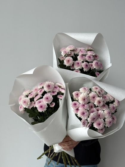 Охапка кустовых хризантем в розовом оттенке матис дейзи 5 шт