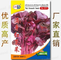 Инь Тсаи - 紅莧菜 Китайский Спаржевый Амарант