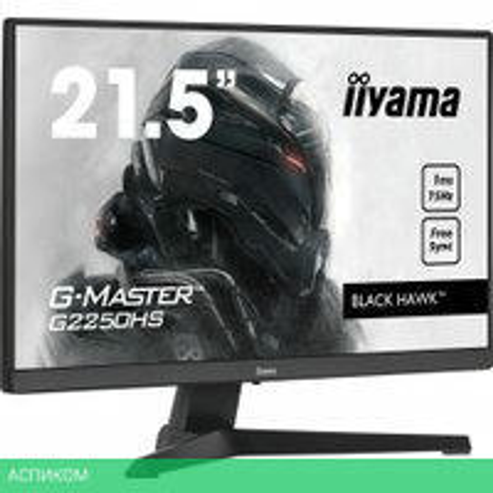 Игровой монитор Iiyama G-Master Black Hawk G2250HS-B1
