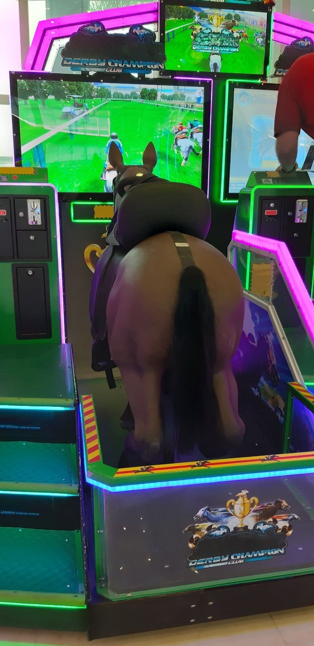 Симулятор конных скачек «Derby Champion Club 2P»