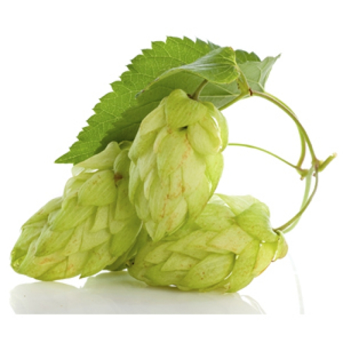 Хмель горько-ароматный El Dorado (США) 50гр. гранулированный Альфа-кислоты: 14-15%