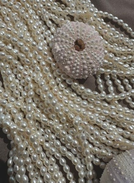 Жемчуг рис 3,5-3,7мм