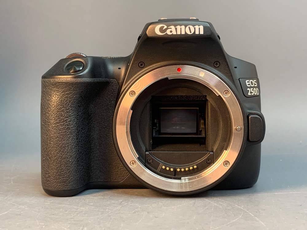 Canon 250D Kit 18-55mm STM