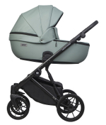 Детская коляска Riko Basic Montana Ecco 2 в 1 21 Green