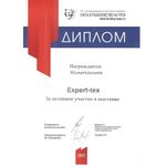 Спальный мешок-одеяло Traveler, Expert-Tex