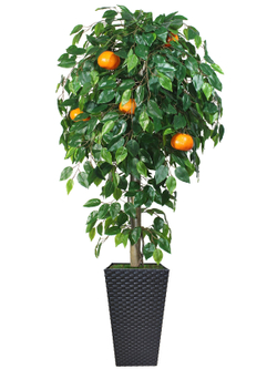 Искусственное дерево Мандарин 150см в высоком коричневом кашпо ротанг