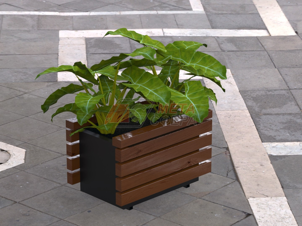 Вазон Лоди М