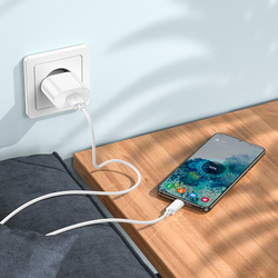 Сетевое зарядное устройство HOCO C109A Fighter с Кабелем USB - Type-C