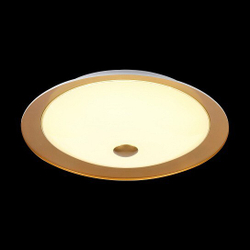 Накладной светильник Maytoni CL815-PT50-G