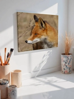 Картина на стену 40 X 50 Лиса