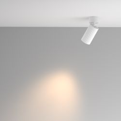 Спот Maytoni   C108CL-01-GU10-W