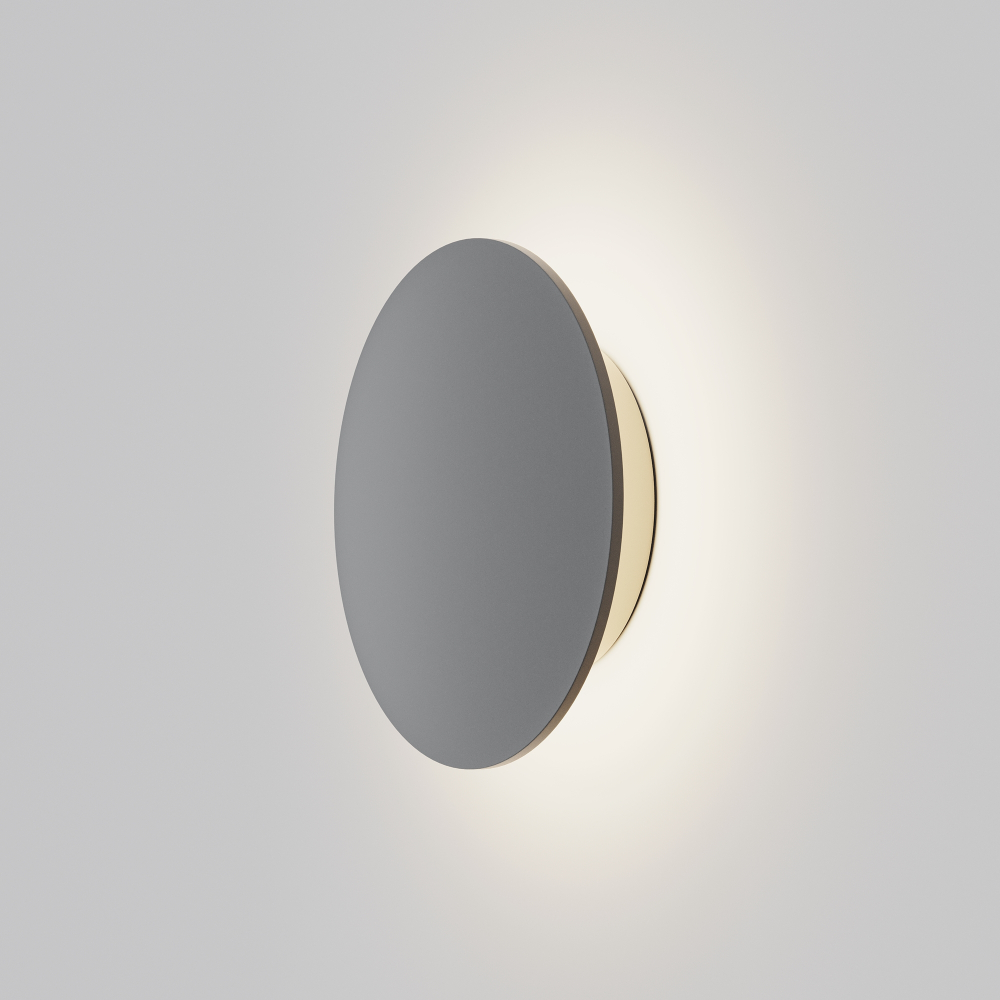 Настенный светодиодный светильник Maytoni Wald O420WL-L12GF