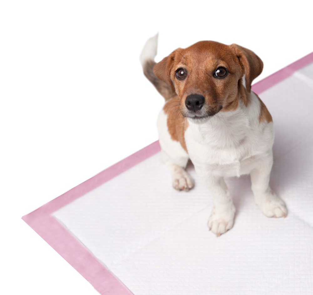 Petsona гелевые пеленки для животных Extra с ароматом розы, розовые, 60х40 см, 1 шт