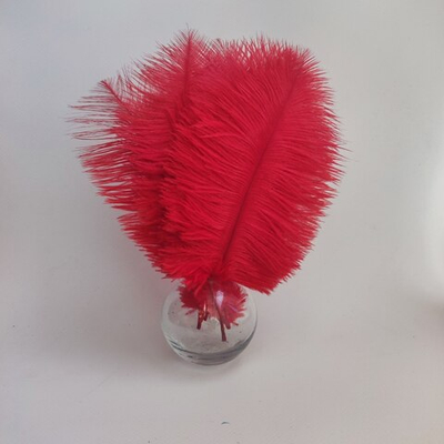 Перо страуса красное 15 - 20 см.