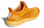 Кроссовки Adidas Ultraboost Climacool 2 Dna