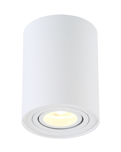 Накладной светильник Crystal Lux CLT 410C1 WH