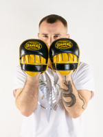 Лапы тренерские LEADERS T-AIR BUMBLEBEE черно-желтые