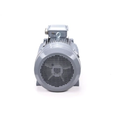 Электродвигатель ESQ PR 315 M6 GST-Б1-S32-IE2 132/1000 IM1001